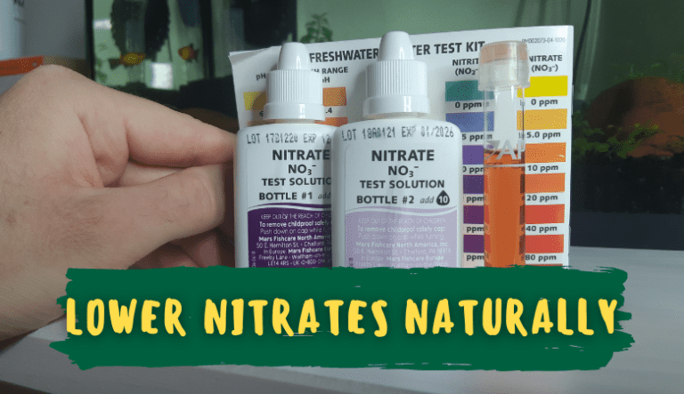 How to Lower Aquarium Nitrates With Denitrifying Bacteria
