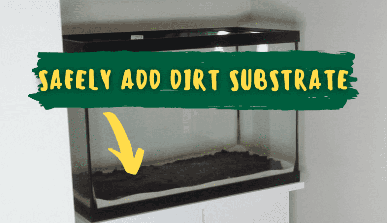 How To Safely Use Dirt As An Aquarium Substrate