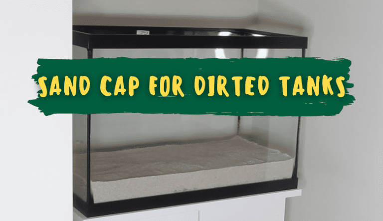 How to Cap a Dirted Tank With Sand
