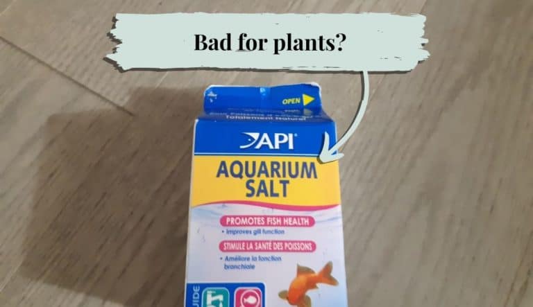 Can You Put Aquarium Salt in a Planted Tank? (Tolerance, Risks)