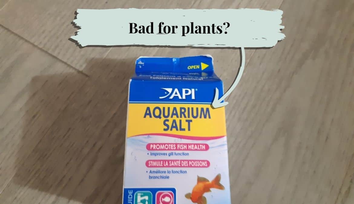 Aquarium salt for a planted tank