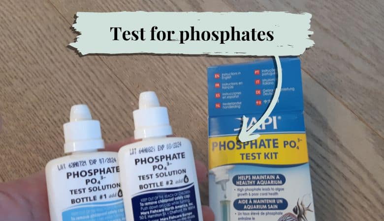 API phosphate test for planted aquariums