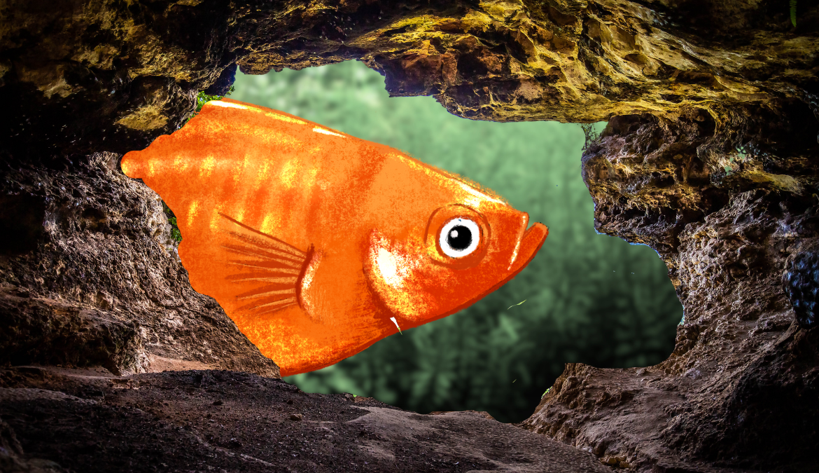 Image of platy hiding in a cave